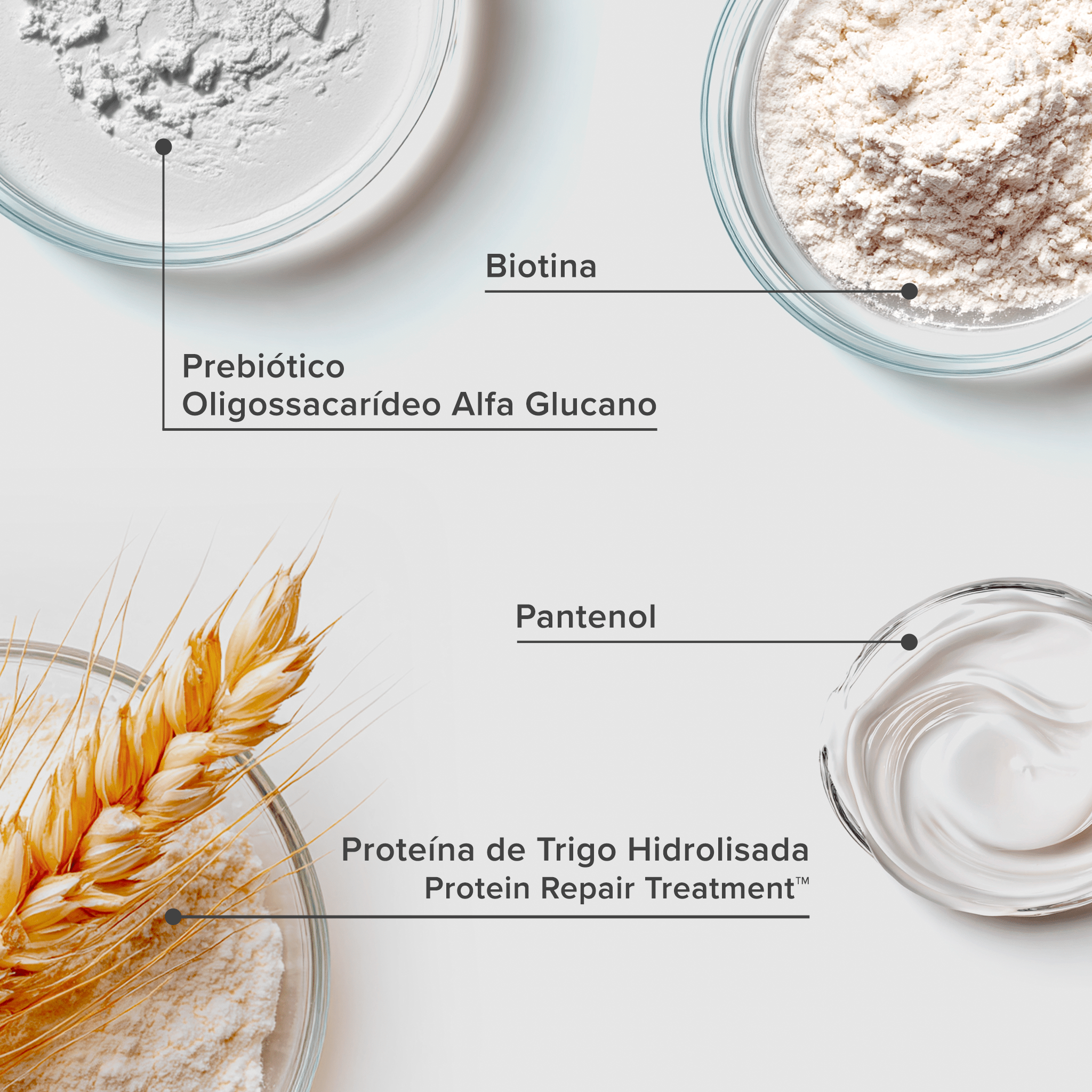 Plaquetas com os principais ativos do Creme Vitalistic Repair Pro Recovery RX: biotina, prebiótico oligossacarídeo alfa glucano, pantenol, proteína de trigo hidrolisada e protein repair treatment.