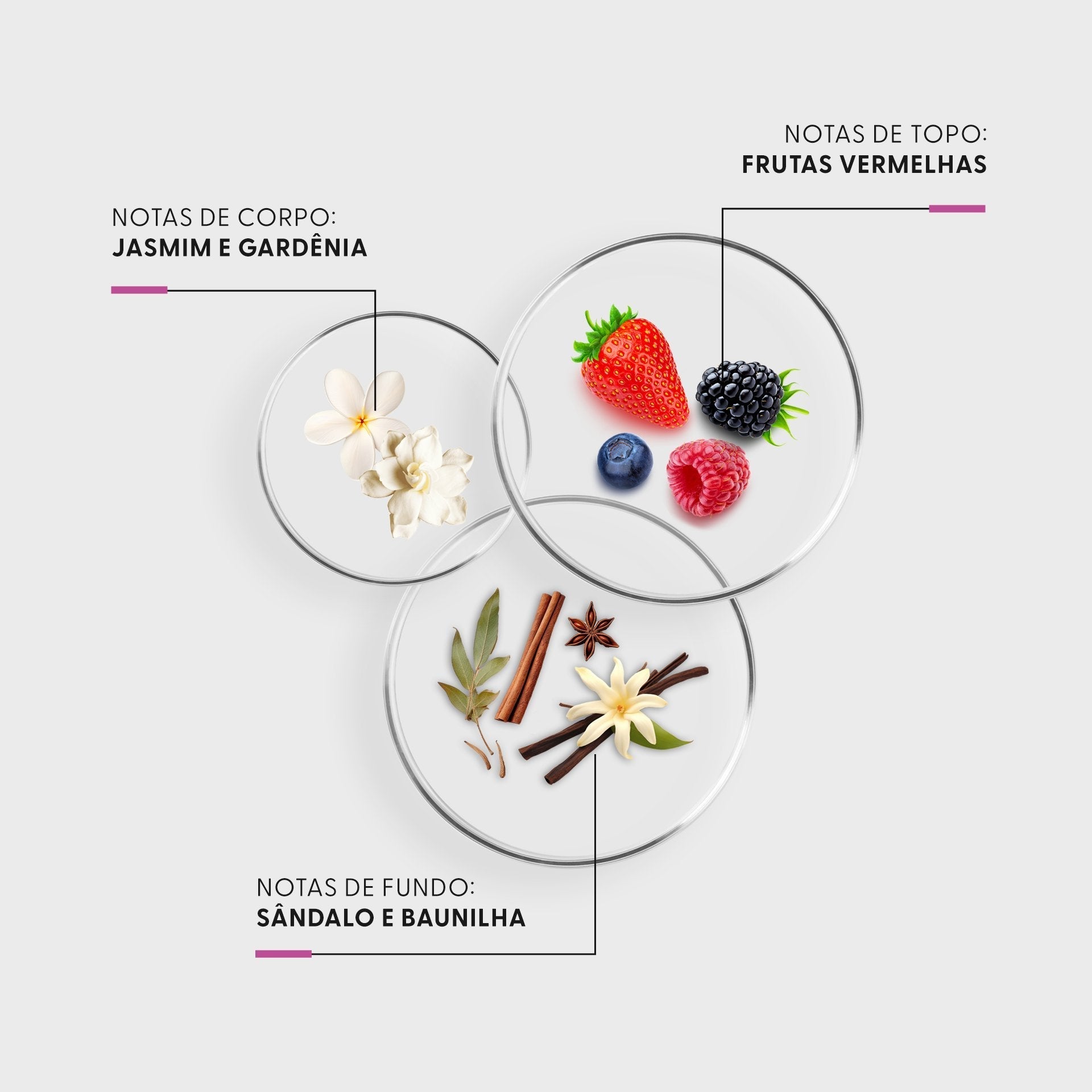 3 Shampoo a seco Imunehair + Necessaire Rosa - Imunehair