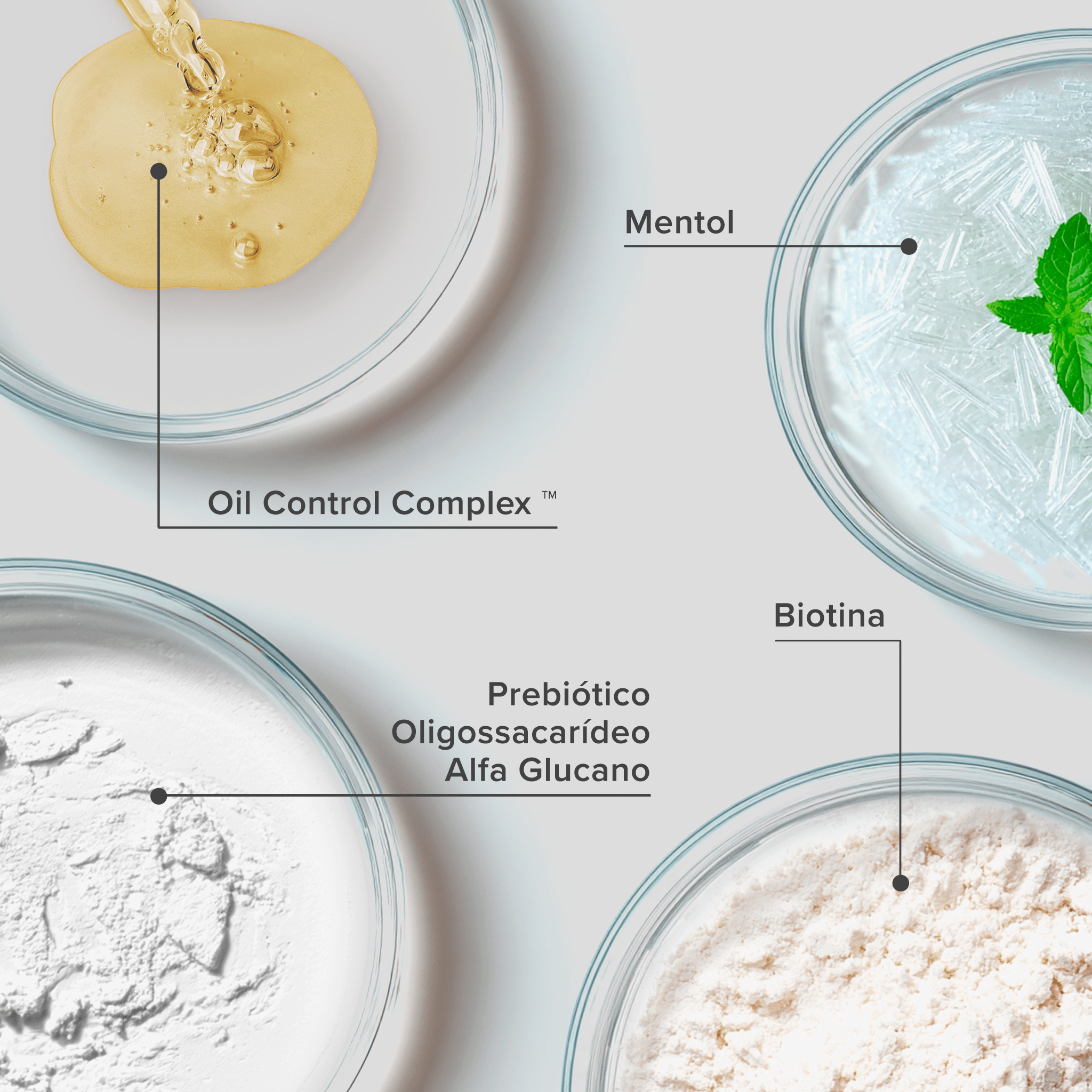 Plaquetas com os principais ativos do produto: mentol, biotina, prebiótico oligossacarídeo alfa glucano e oil control complex.