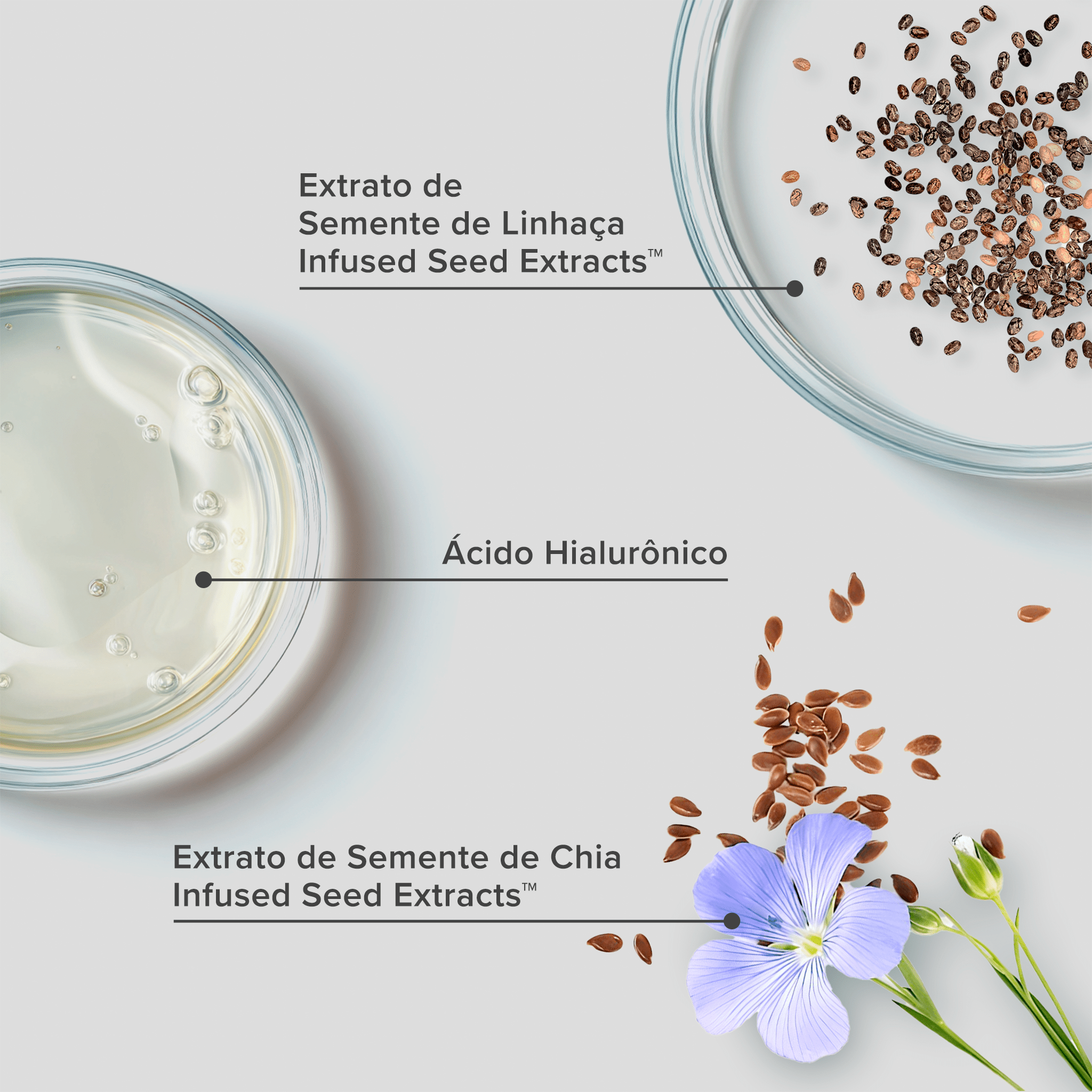 Plaquetas com os principais ativos do Shampoo Reconstutor Pro Recovery RX: extrato de semente de linhaça, infused seed extracts, ácido hialurônico e extrato de semente de chia.